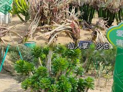 -东莞植物园