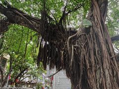 -小洲村