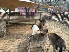 -西安秦岭野生动物园