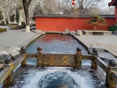 -百脉泉景区