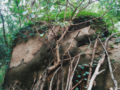-白水寺森林公园