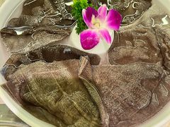 -蜀院鲜火锅(高升桥店)