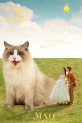 -MAO亲爱的猫婚纱摄影工作室