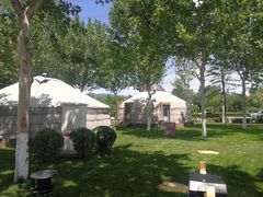 -九十九顶毡房(阜石路店)