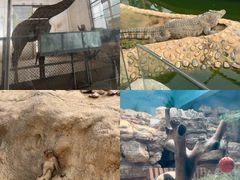 -石家庄市动物园