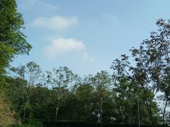 -火炉山森林公园