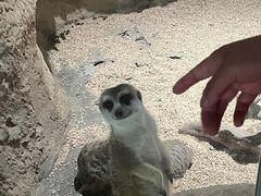 -西安曲江海洋极地公园