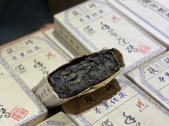-南宁国际会展中心(会展东博文化旅游区)