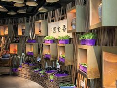 -番食园鲜食火锅(高新店)