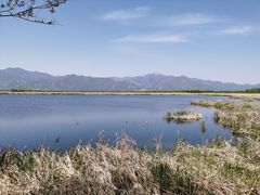 -野鸭湖国家湿地公园