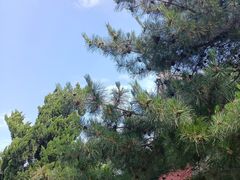 -大钟寺古钟博物馆