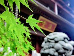-香积寺