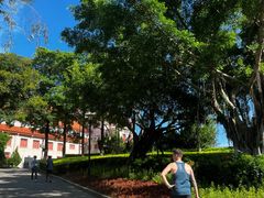 -厦门大学(思明校区)