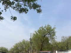 -白水寺森林公园