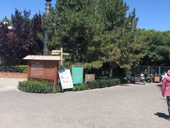 -大兴滨河森林公园