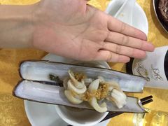 爱尔兰圣子皇-蚝专家(北滘店)