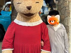 -济州岛泰迪熊博物馆