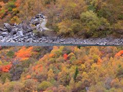 -叠溪松坪沟景区