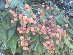 -长泰漂流水陆空景区