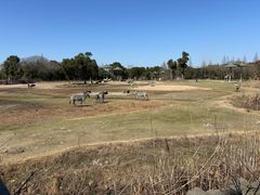 -宁波野生动物园
