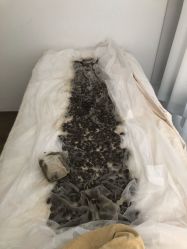 -姜美堂·蒸姜除湿の纤体美颜馆