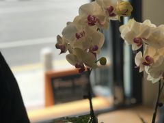-LAB COFFEE来杯咖啡(浦仓路店)