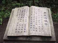 -茅兰沟国家森林公园