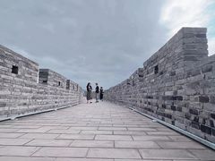 -黄贤森林公园