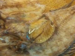 -纳兰傣雀傣味餐厅