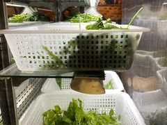 -攀枝花野菜铜火锅(万科凯德店)