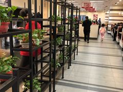 大堂-乡村基(南坪上海城店)