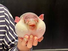 -永安鱼庄·镇江菜(东吴路店)