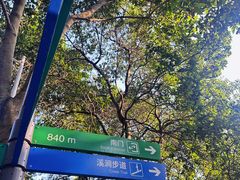 -火炉山森林公园