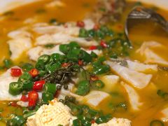 鲜椒豆花鲈鱼-川味堂·四川豆花(八卦岭店)