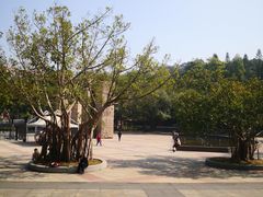 -广州雕塑公园