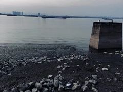 -鱼嘴湿地公园