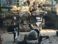 -石家庄市动物园