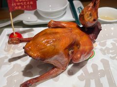 -大鸽饭(北京路店)