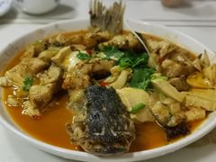 -煲来饱去冷水鱼