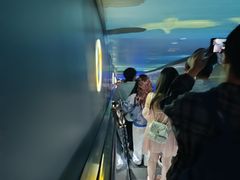 -白鹤梁水下博物馆