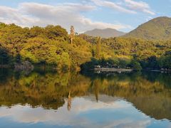 -深圳仙湖植物园