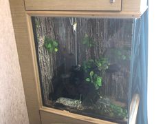 -圣爵菲斯大酒店(长沙世界之窗店)