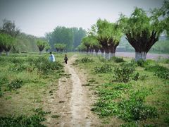 -汉长安城未央宫国家考古遗址公园