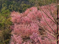 -楠溪江风景名胜区