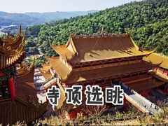 -东莞市大岭山森林公园