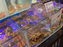 水产区-盒马鲜生(悠方店)