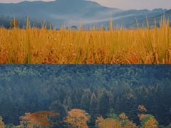 -塔川景区