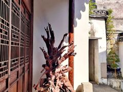 -月栖华明-云间草堂清茶馆(泗泾古镇店)