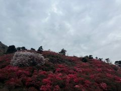 -木兰云雾山