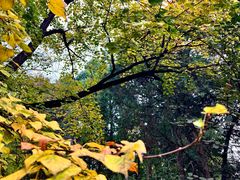 -国家植物园南园